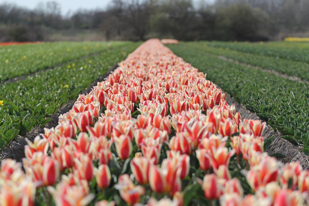 Ferienpark Duinrust