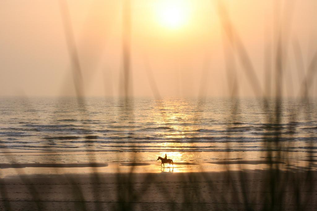 Vakantiepark Duinrust